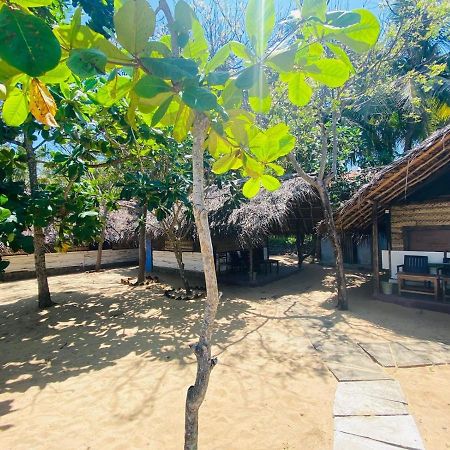 Air Lush Beach Cabanas อารูกัมเบย์ ภายนอก รูปภาพ