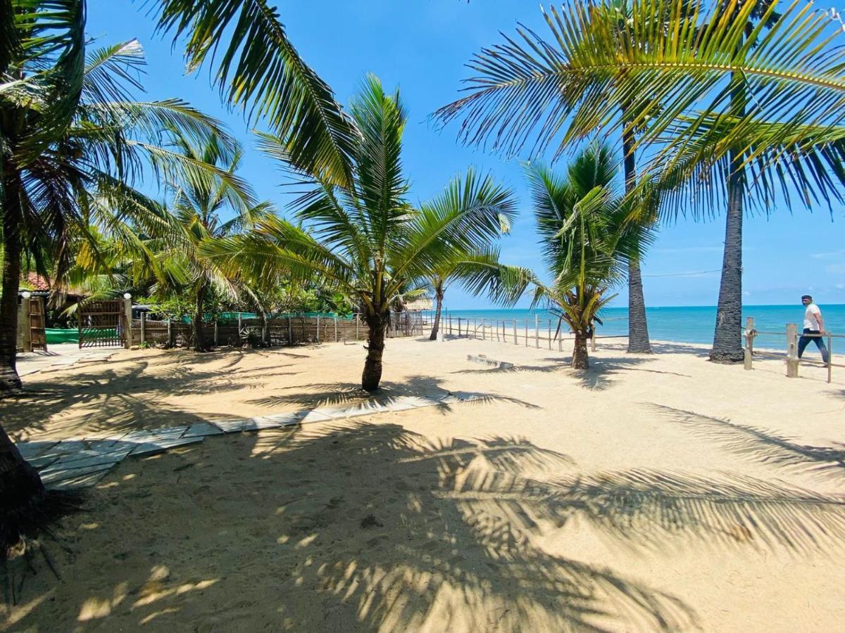 Air Lush Beach Cabanas อารูกัมเบย์ ภายนอก รูปภาพ